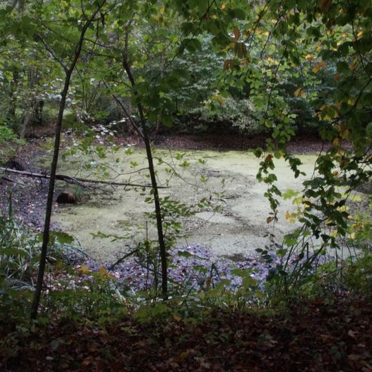 Waldtümpel im Gewann Saisleshau