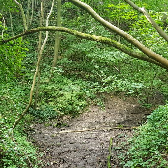 Groeve Dellen oude werken