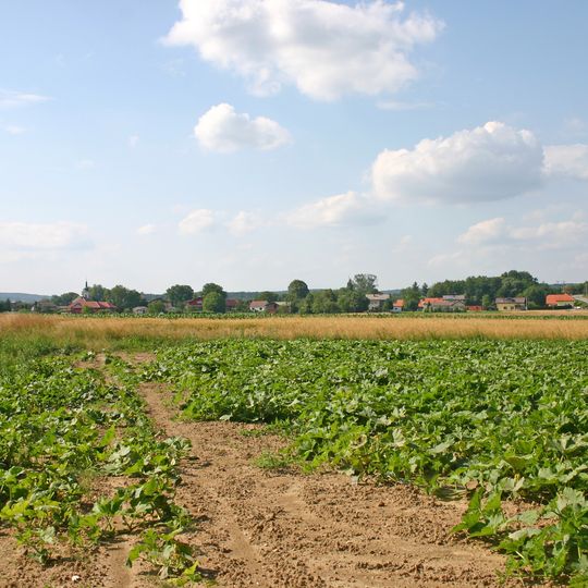 Municipality of Puconci