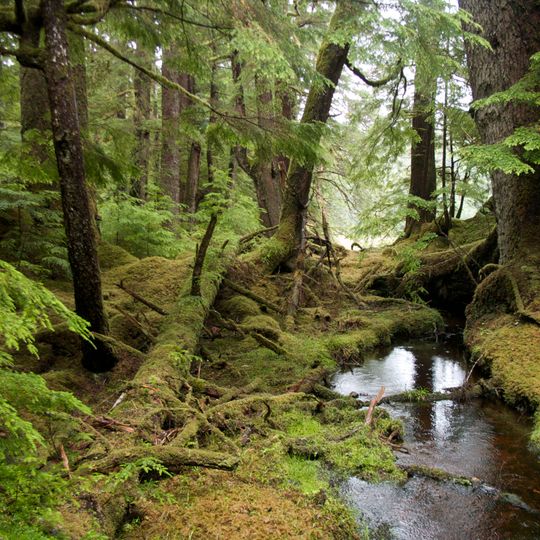 Réserve de parc national et site du patrimoine haïda Gwaii Haanas