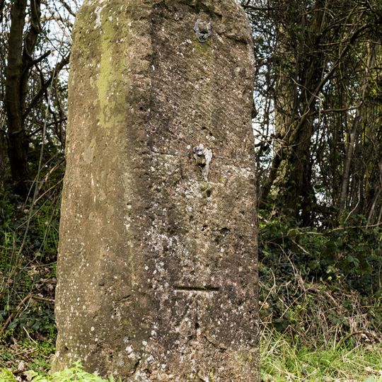 Milestone, Hawford Wood, N-bound carriageway at SO8444161102