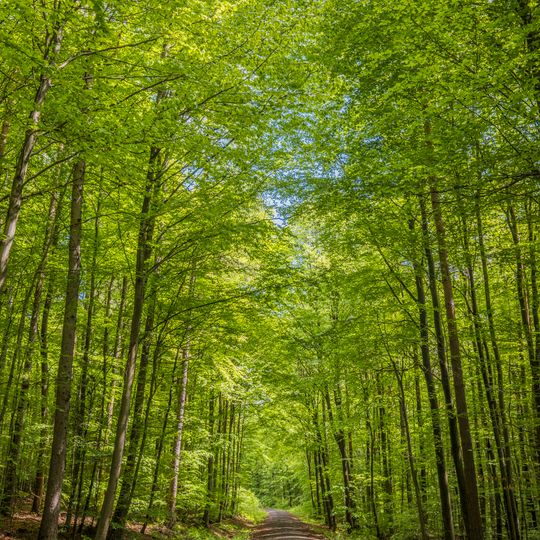 Haßbergetrauf von Königsberg bis Stadtlauringen
