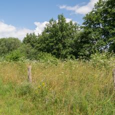 Lippeniederung bei Sande