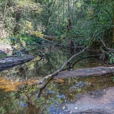 Sinharaja Forest Reserve