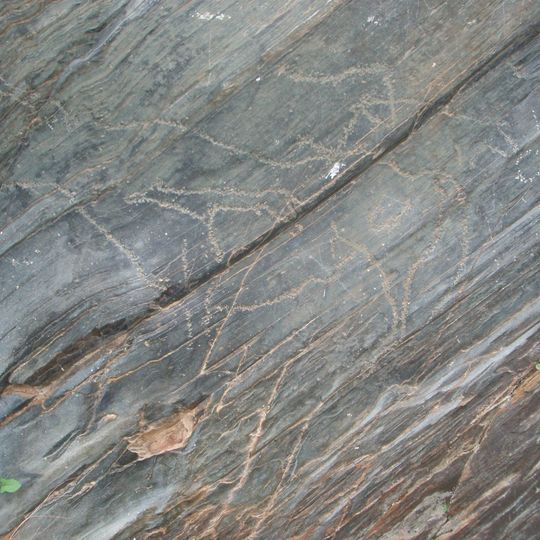 Siega Verde
