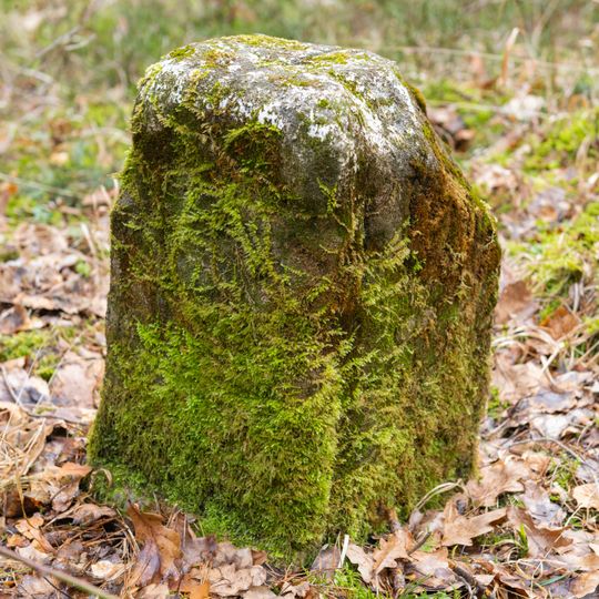 Grenzstein Heilstättenstraße 130 in Zirndorf
