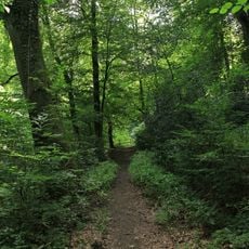 NSG Waldsiepen Hevener Strasse - Im Lottental