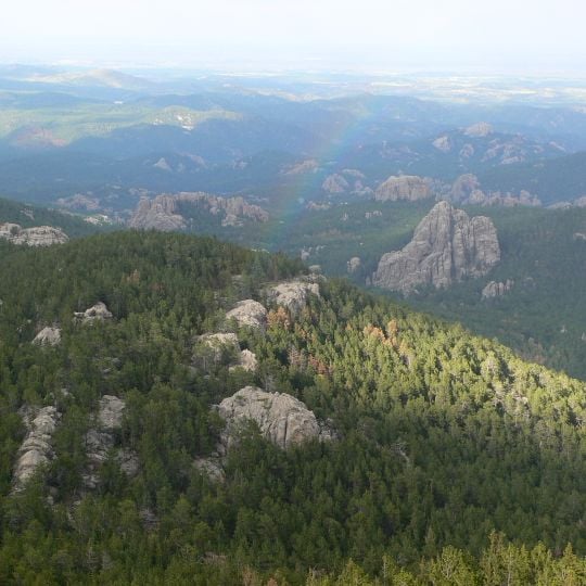 Black Hills National Forest