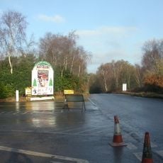 Lapland New Forest