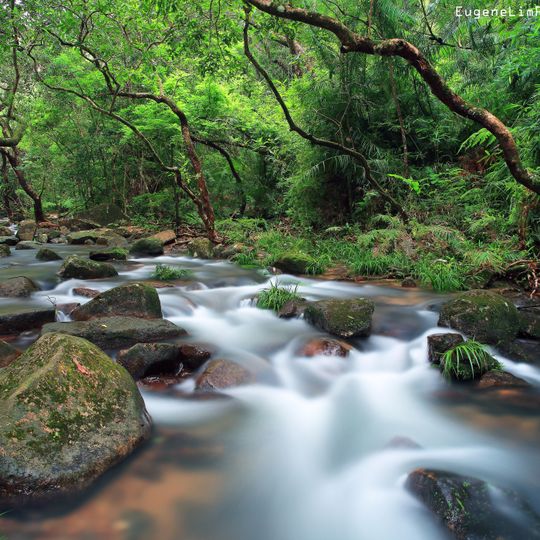 Tai Po Kau Special Area