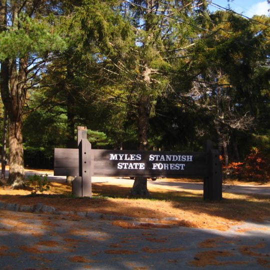 Myles Standish State Forest