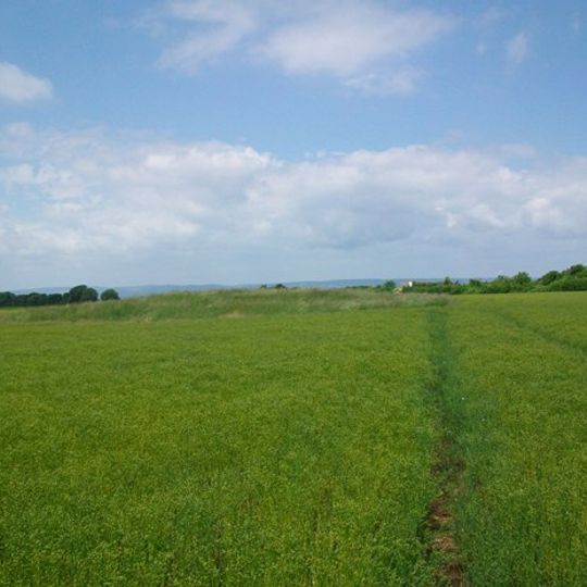 Bowl barrow re-used as a moot 205m SSE of Chelwood