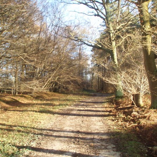 Plashett Park Wood