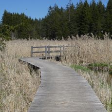 Gebiet um den Elbsee, Gde. Aitrang