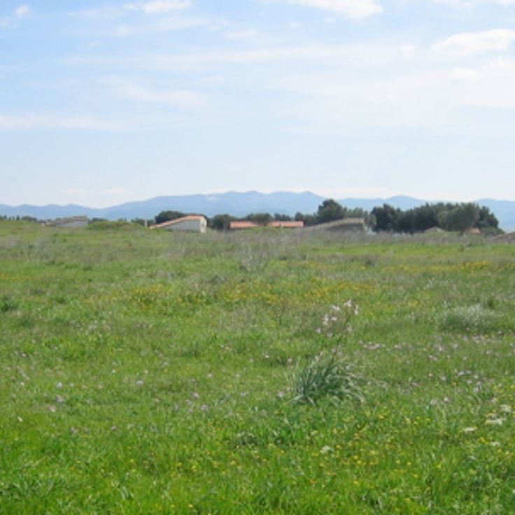 Necropoli di Tarquinia