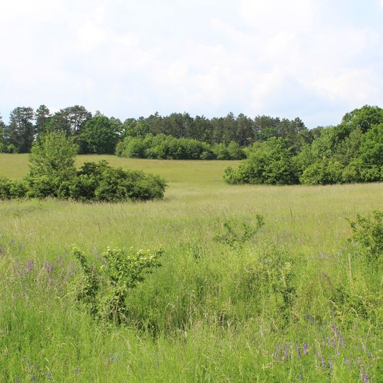 Brachenleite bei Tauberbischofsheim