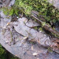 Old Ironstone Works, Mells