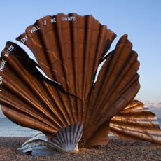 Scallop