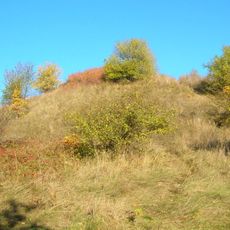 Zamczysko (grodzisko w Bydgoszczy)