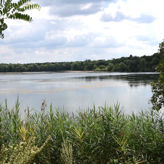 Bong'sche Kiesgrube und Mainufer bei Mainflingen