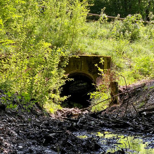 Dachsgschleifbrücke beim Salonwald