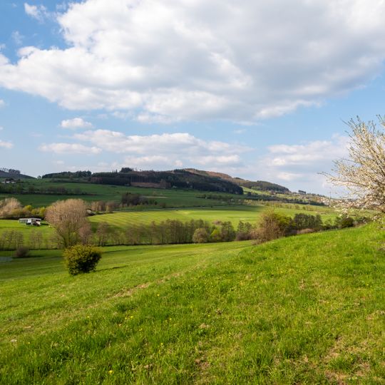 Grünland um den Weis-Berg bei Eiershausen