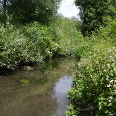 Watercress Wildlife Site