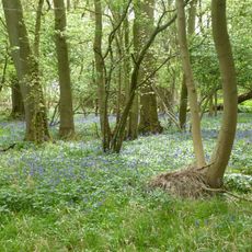 Glapthorn Cow Pasture
