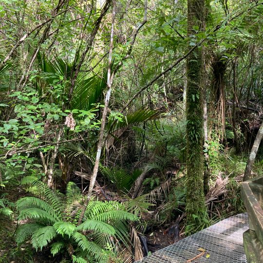 Point Elizabeth Walkway