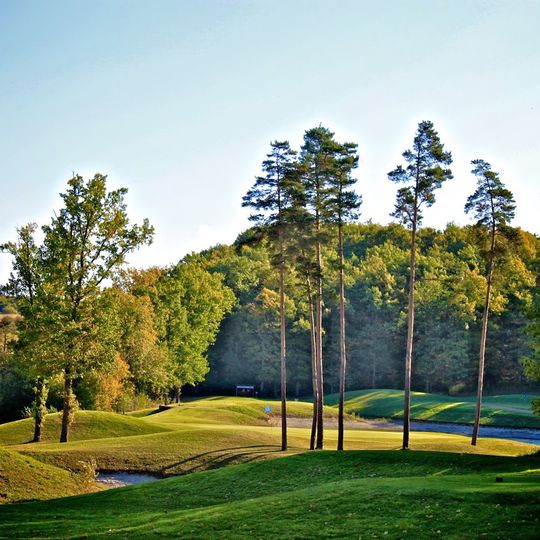 Golf de la Forêt de Montpensier