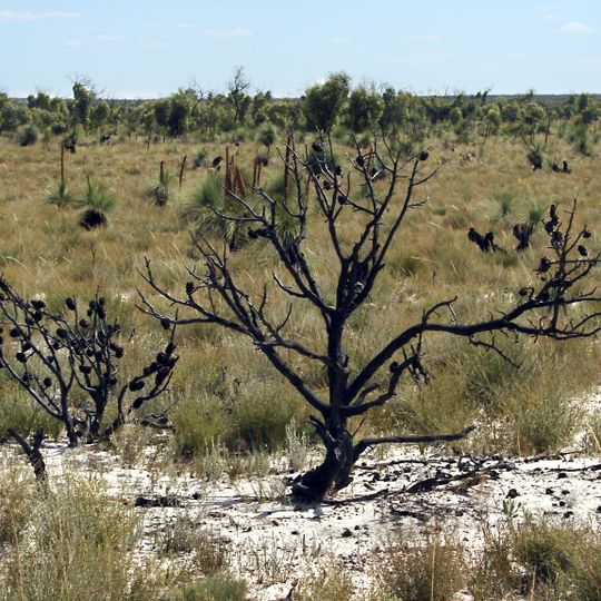 Little Desert National Park
