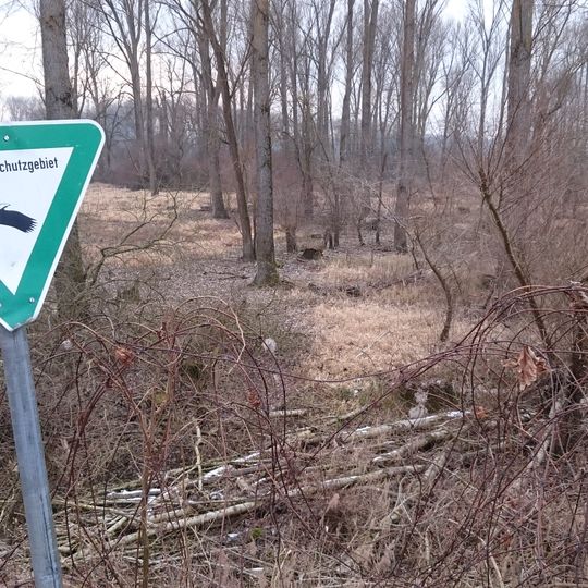 Pfälzische Rheinauen