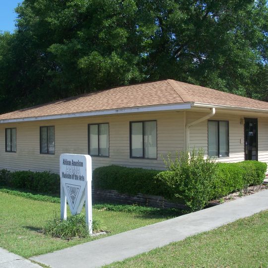 African American Museum of the Arts