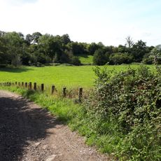 Medieval moated site and Romano-British settlement at White Walls Wood