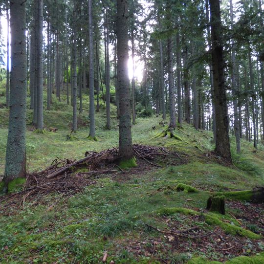 Stadt auf dem Magdalensberg