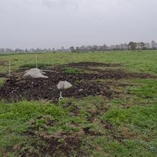 Großsteingrab im Ahlen-Falkenberger Moor