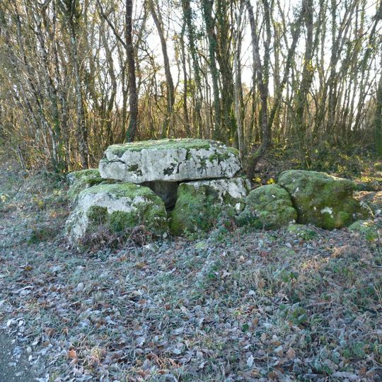 Dolmen de Saint-Ciers-sur-Bonnieure