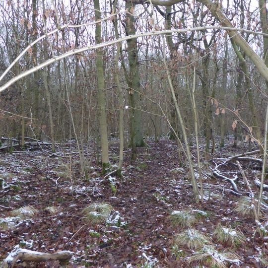 Stoke Wood End Quarter