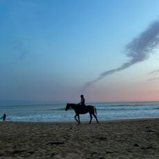 Plage des Conches