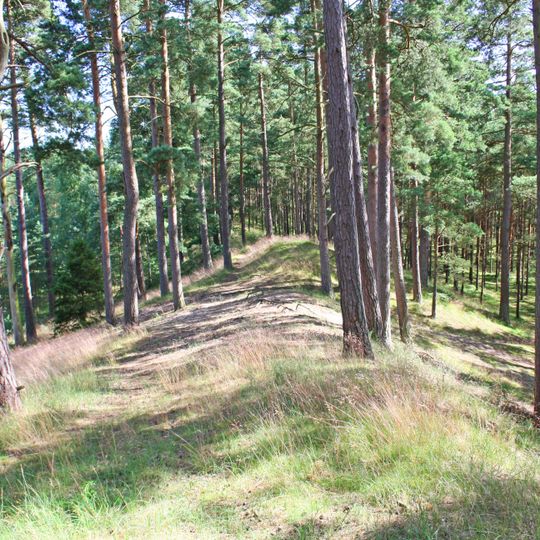 2001821 Naturvårdsområdet Pestbacken