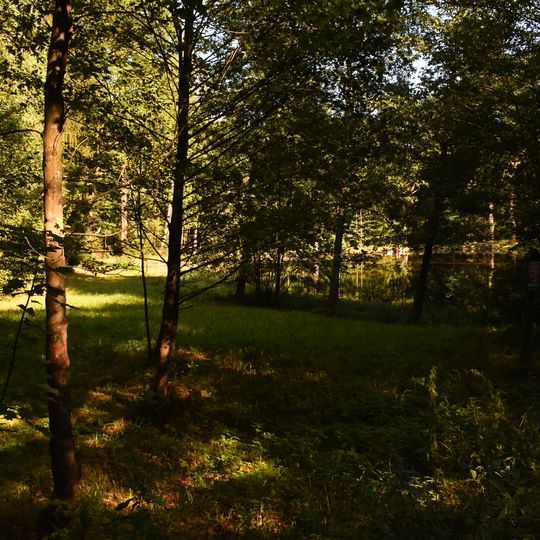 Rybníček u Starých Hutí