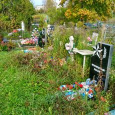 Братское кладбище советских воинов, погибших в борьбе с фашистами (несколько одиночных могил на одном участке) (Старая Ладога)