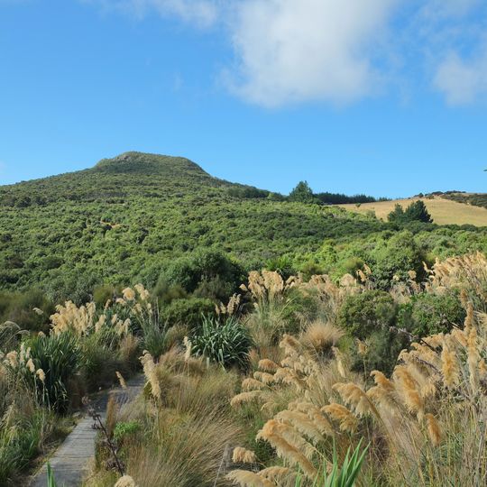 Orokonui Ecosanctuary