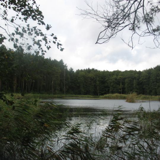 Stawy przy Kampusie UAM Morasko