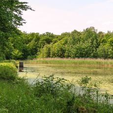 Kanice - lesní rybník