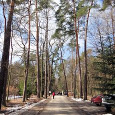 Park in Sanatorium in Rudka