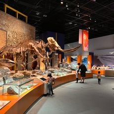 Kanagawa Prefectural Museum of Natural History
