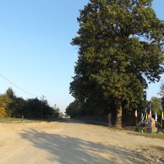 Nieborzyn, powiat płoński