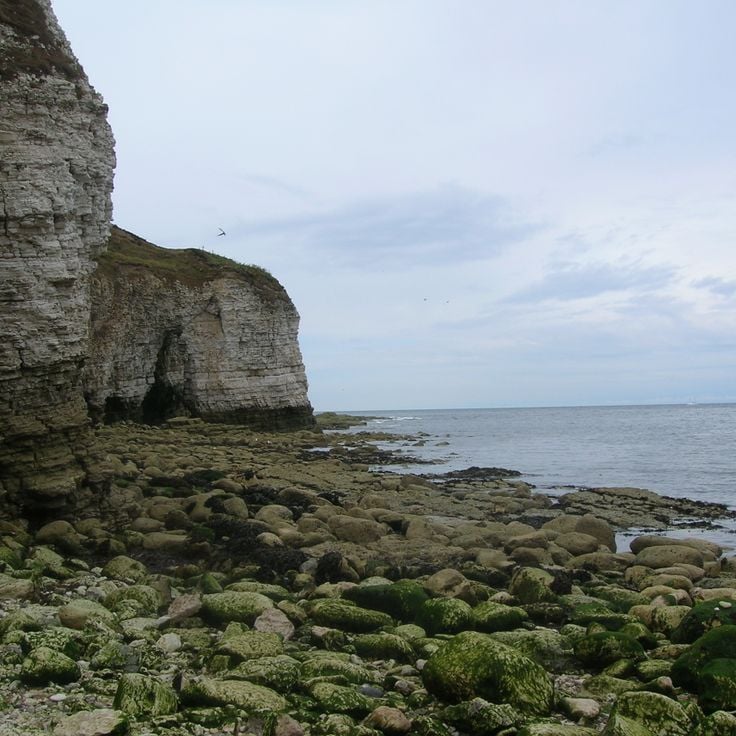 Flamborough Head