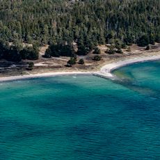 Mullvalds strandskog